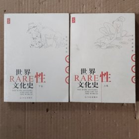 世界性文化史（上下）