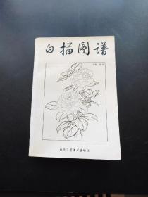 白描图谱