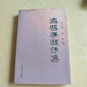 太极拳理传真