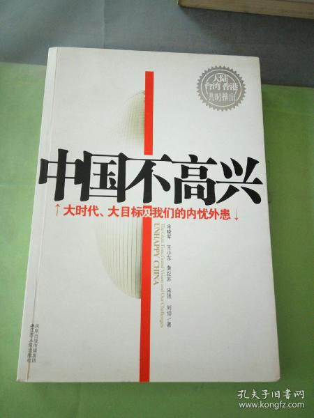 中国不高兴：大时代大目标及我们的内忧外患