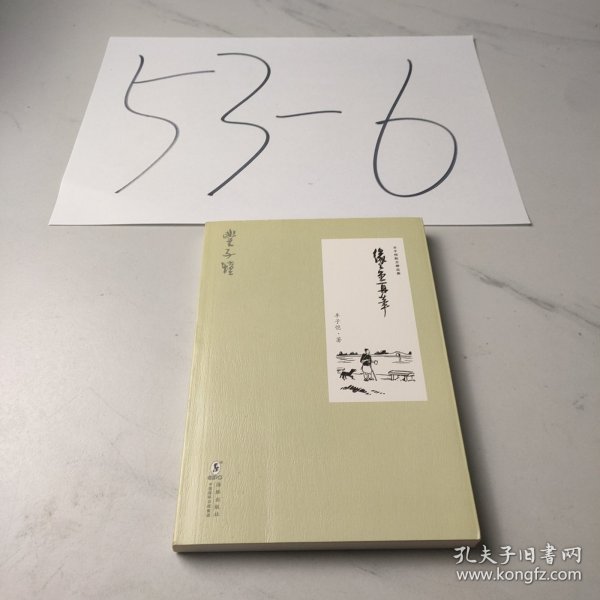 丰子恺散文精品集：缘缘堂再笔