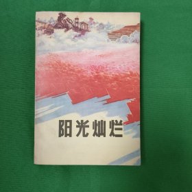 阳光灿烂 红色文学 私藏美品 怀旧收藏 一版一印 白纸铅印大开本 新华书店库存书 封面漂亮色彩斑斓