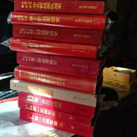 中国人民解放军战史丛书:红一方面军上下册，红二方面军，八路军第一一五师暨山东军区战史，一二O师陕甘宁晋联防军抗日战争史十附册，二野战史1（一二九师战史）新四军战史，二野战史2，三野战史，华野战史，四野南下工作团团史共12本合售