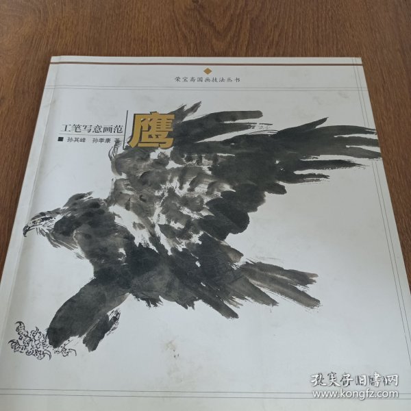 工笔写意画范：鹰