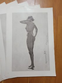 徐悲鸿素描 1954年一版二印 不全，现存素描9张+封套底。