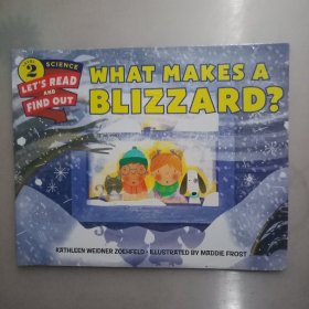 What Makes a Blizzard?