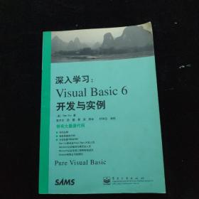 深入学习VISUAL BASIC6开发与实例