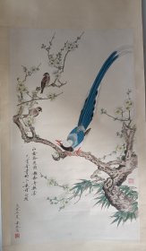 袁淑蕊 工笔花鸟 画工精美