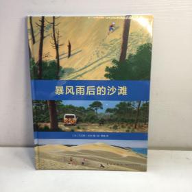 暴风雨后的沙滩  【精装 全新未拆塑封 正版现货，收藏佳品 看图下单 】