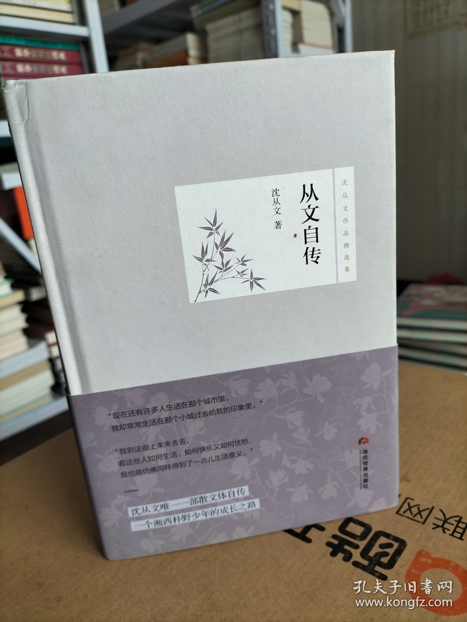 从文自传/沈从文作品精选集