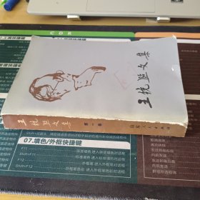 王统照文集