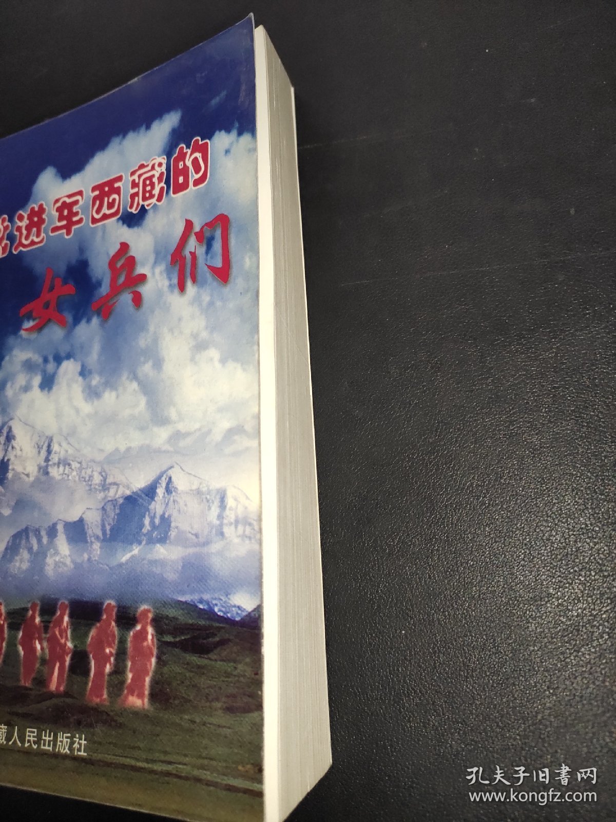 首批进军西藏的女兵们 上下册