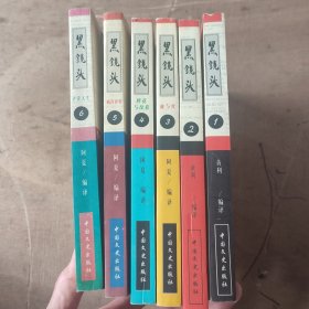 黑镜头 1-6