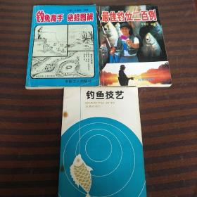 钓鱼高手绝招图解+钓鱼技艺+最佳钓位二百例共3本合售