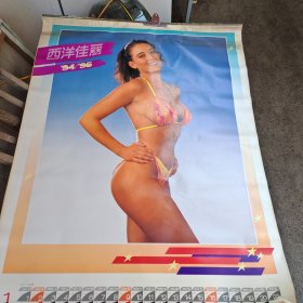 西洋佳丽（ 1994 1995 挂历 ）