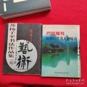 中国当代书法家作品丛书 ：【10本合售】【丁明镜书法，卢汝福书仙都历代名人题咏诗，苏扬子平书法作品集，杨少华书法作品集，黄君书法作品集，葛鸿桢书法作品集，袁立中书法作品集，刘崇文书法作品集，冷望高书法作品集，丁国光书法作品集】