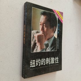 大世界丛书：纽约的刺激性