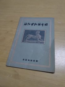 洛阳博物馆介绍