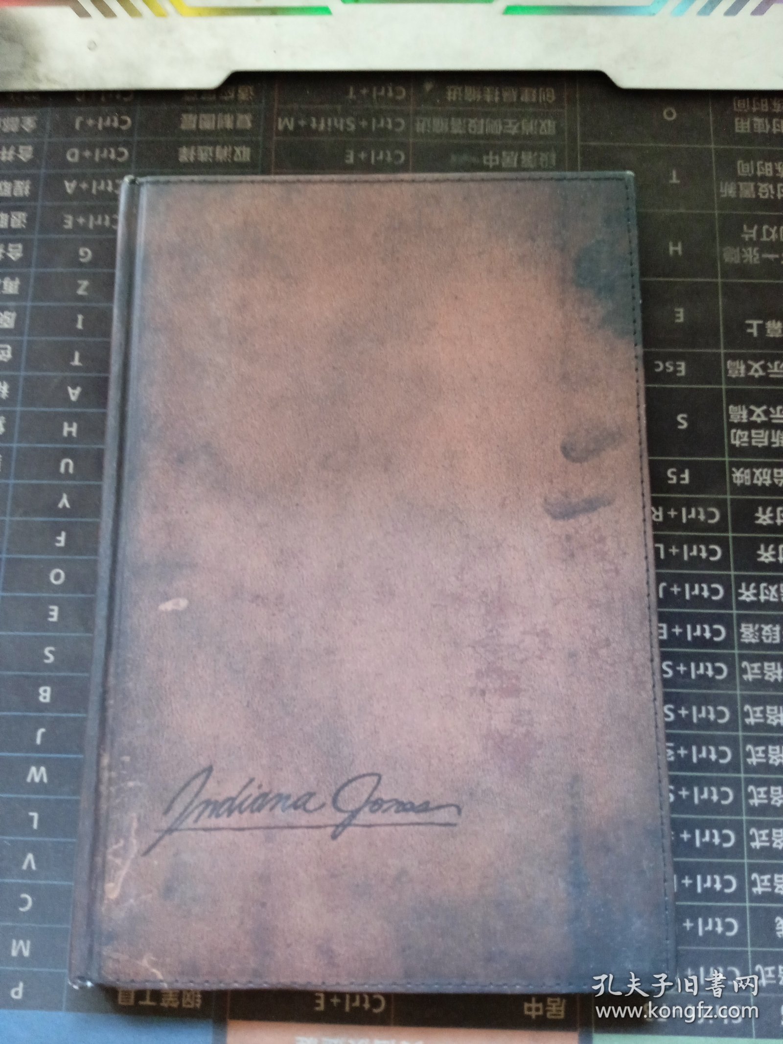 THE LOST JOURNAL OF INDIANAJONES