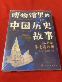 博物馆里的中国历史故事(全4册)（从史前到夏商西周/从春秋战国到秦汉/从魏晋南北朝到隋唐五代/从宋元到明清）