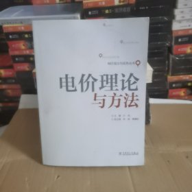 电价理论与实务丛书：电价理论与方法