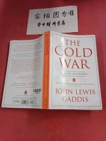 The Cold War：A New History