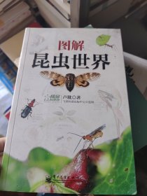 圖解昆蟲世界
