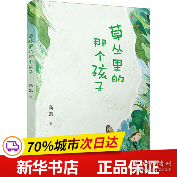 草丛里的那个孩子（《村小：生字课》作者高凯倾心打造一部充满现实主义和惊奇诗意的诗集）