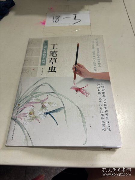 新编养心斋描摹画谱 工笔草虫