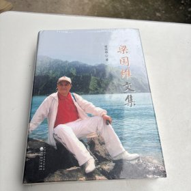 梁國(guó)維文集
