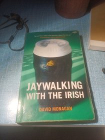 Lonely Planet Phrasebook: Jay Walking with the Irish和爱尔兰人横穿马路