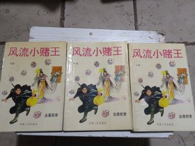 风流小赌王