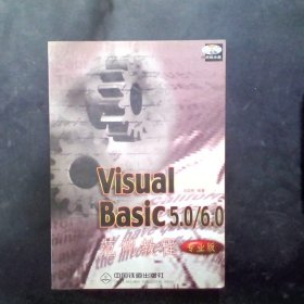 Visual Basic 5.0/6.0范例教程:专业版