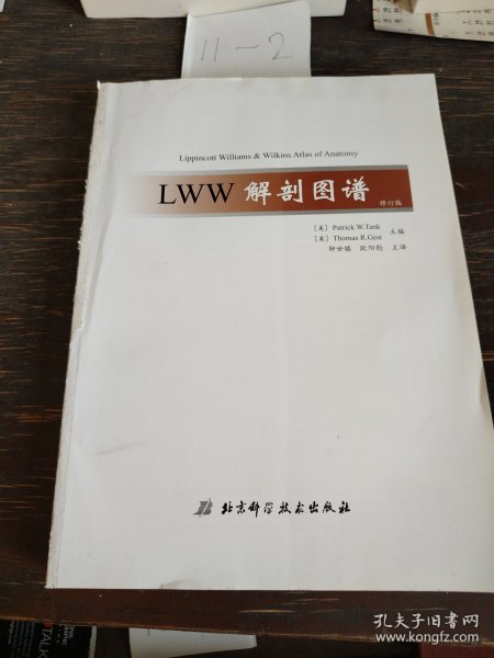 LWW解剖图谱