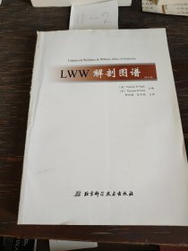 LWW解剖图谱