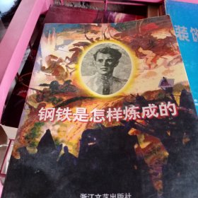 钢铁是怎样炼成的