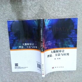 大数据审计理论、方法与应用