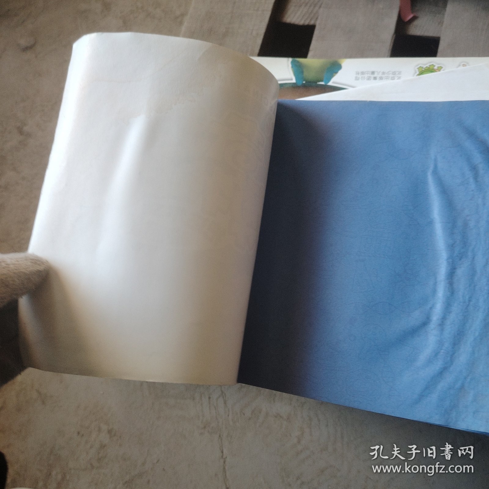 奇趣博物馆. 把达尔文带回家