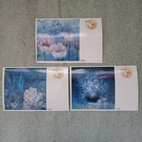 明信片——白玫瑰、郁金香、白荷花（共3张）
