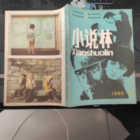 小说林 1985/6