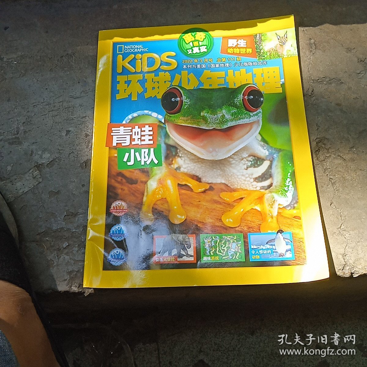 环球少年地理2022年，3