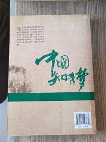 中国知青梦