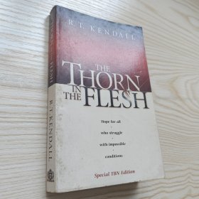 the thorn in the flesh