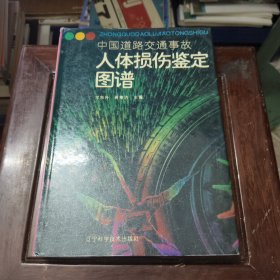 中国道路交通事故人体损伤鉴定图谱