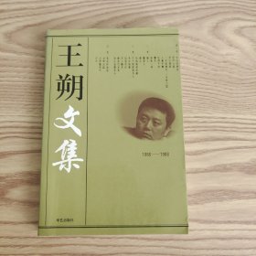 王朔文集