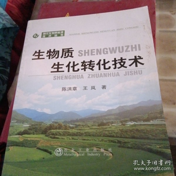 现代生物质能源技术丛书：生物质生化转化技术（窝角少损不影响阅读）