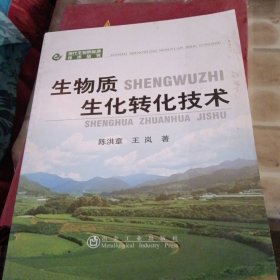 现代生物质能源技术丛书：生物质生化转化技术（窝角少损不影响阅读）