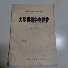 大型机组继电保护