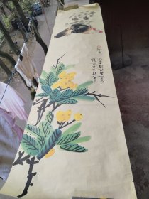 王雪涛