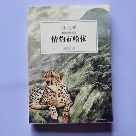 情豹布哈依：沈石溪激情动物小说